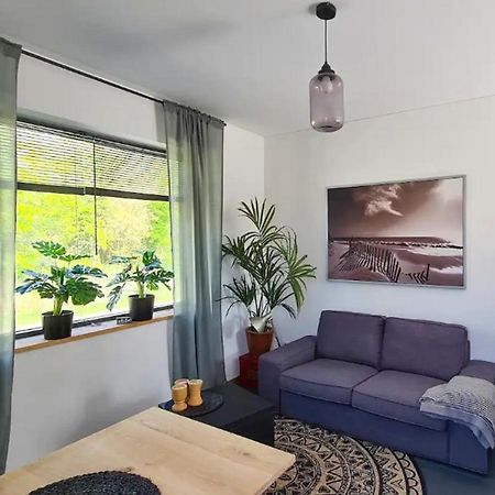 Studio Tussen De Bossen En De Bollenvelden Noordwijkerhout Exterior foto